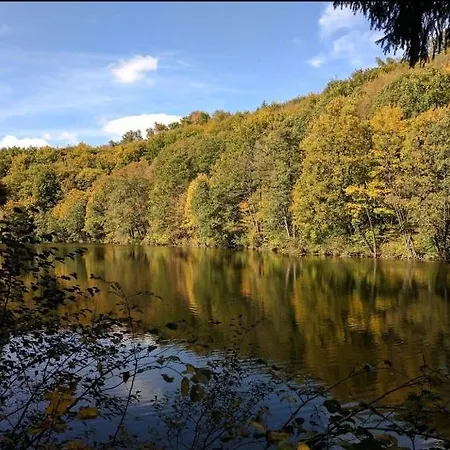 Lovely For 6guest Forest Park 10minutes From Center 公寓 *